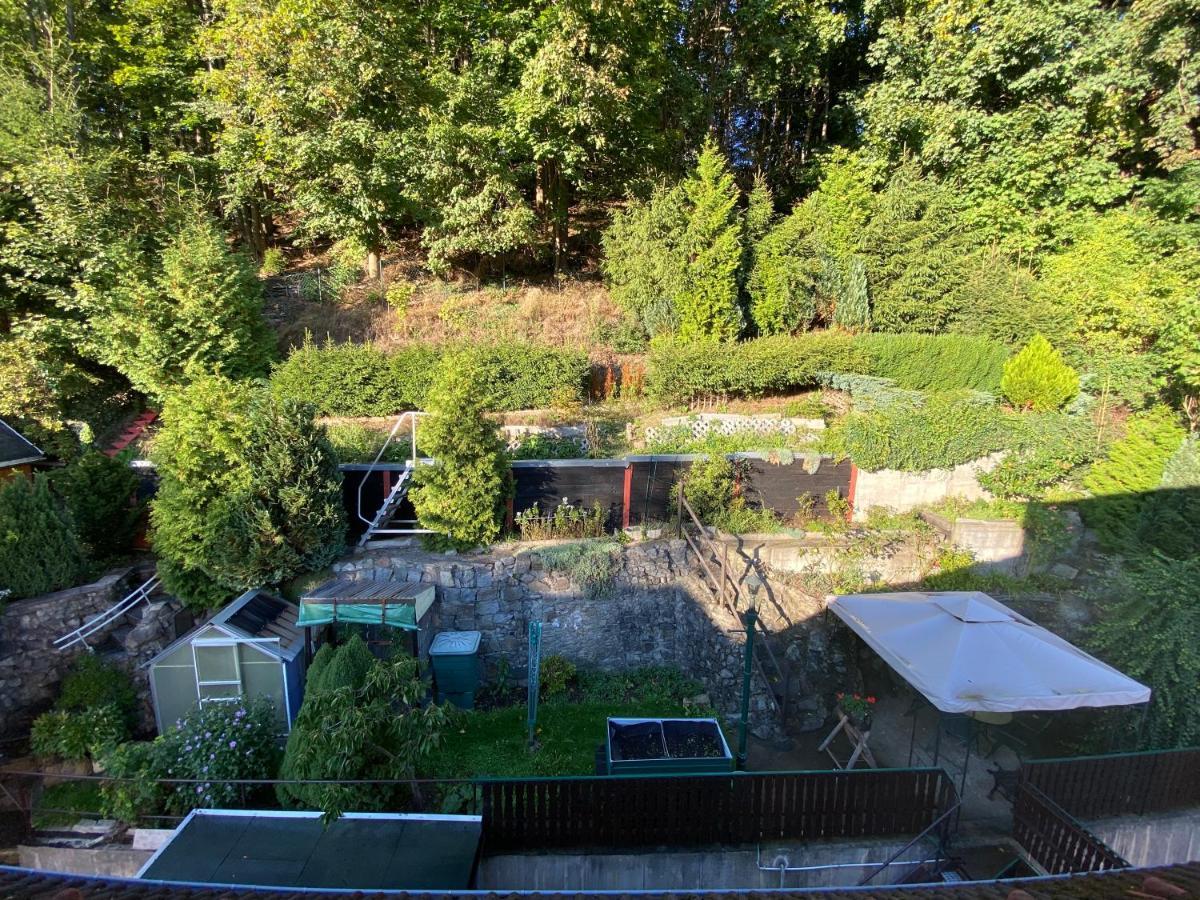 Waldblickwohnung Mit Schoener Terrasse Und Kamin Sebnitz Ngoại thất bức ảnh