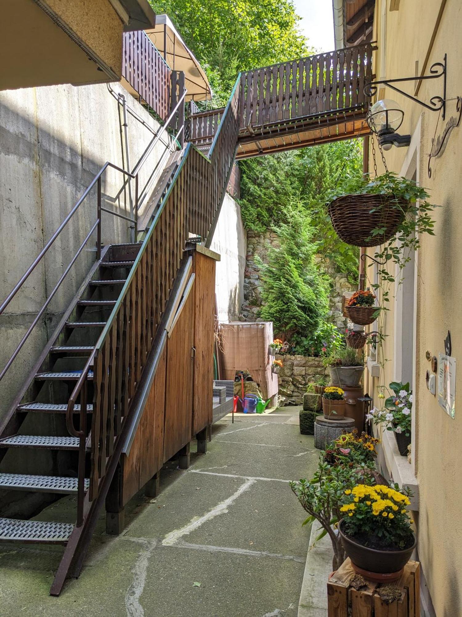 Waldblickwohnung Mit Schoener Terrasse Und Kamin Sebnitz Ngoại thất bức ảnh